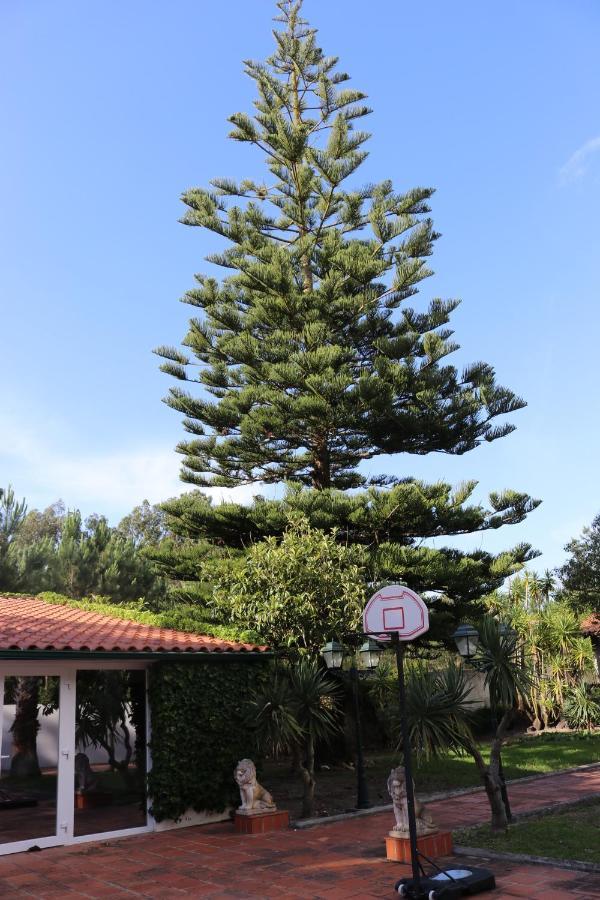A Quinta Duna Salir de Porto Luaran gambar